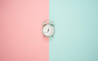 Understanding Timelines in Web Development