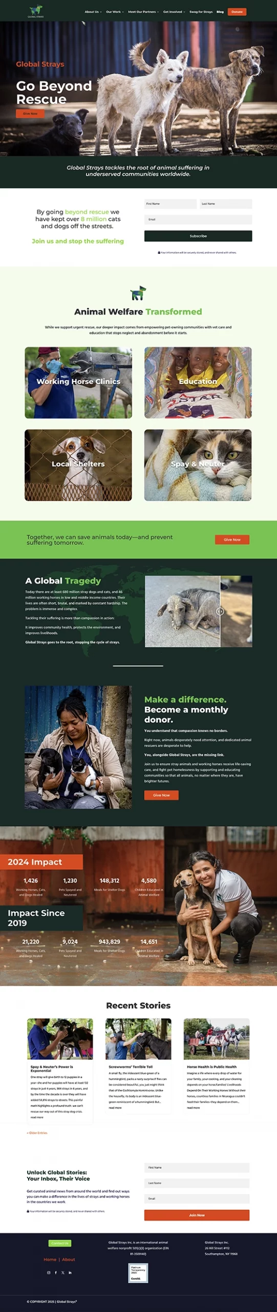 Global Strays nonprofit website design showcasing modern animal welfare.